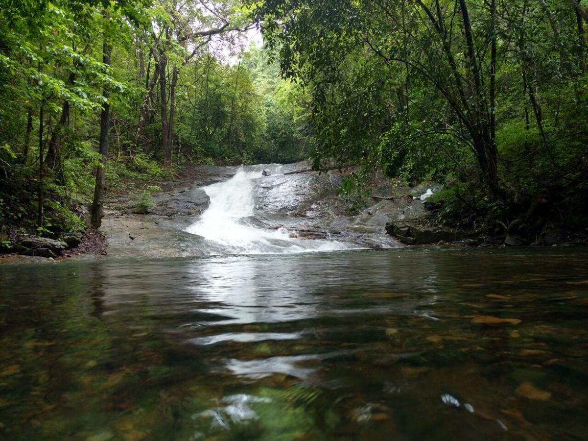 Nature'S Nest Eco Resort Goa, Near Dudhsagar Waterfalls Molem Exterior foto